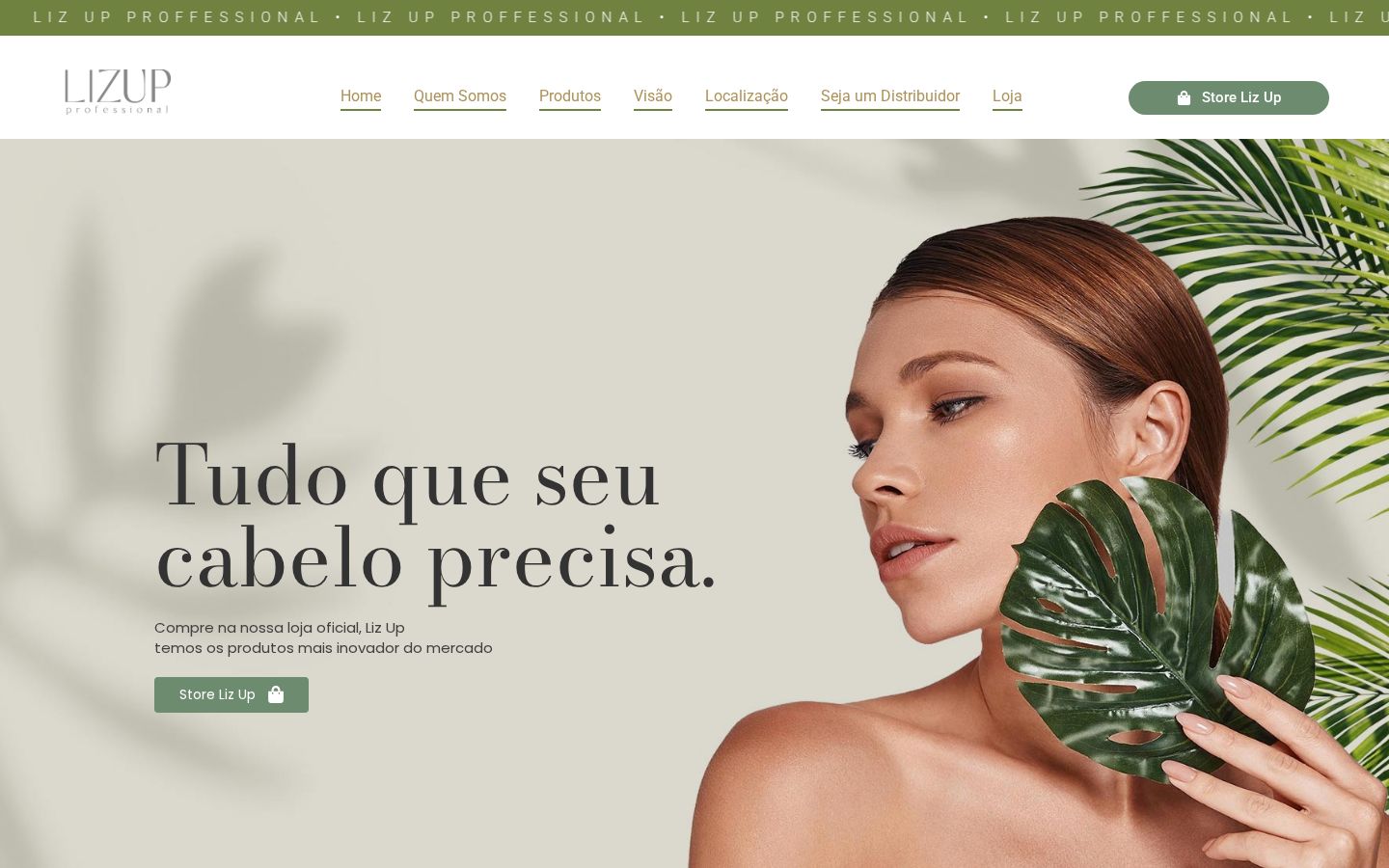Site criado para LizUp